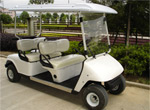 Product Type:GF303